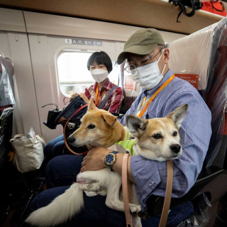 Illustration de l'article : A bord de ce TGV, un wagon spécial est réservé aux chiens !