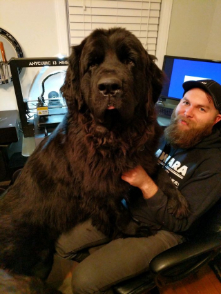 Illustration de l'article : 20 photos craquantes et amusantes de Terre-Neuve