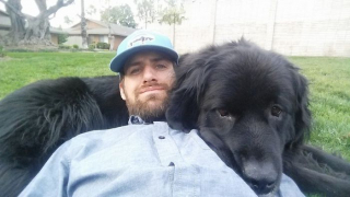 Illustration de l'article : 20 photos craquantes et amusantes de Terre-Neuve