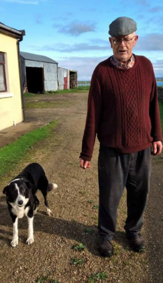 Illustration de l'article : Ce Border Collie serait le plus vieux chien d'Irlande avec un âge record !