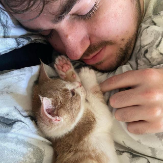 Illustration de l'article : Sourd et chétif, ce minuscule chaton mène un combat pour la vie entouré d'un amour bienveillant