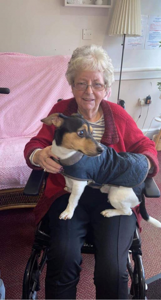 Illustration de l'article : Les visites de Milo le Jack Russell remplit de joie les résidents de cette maison de retraite