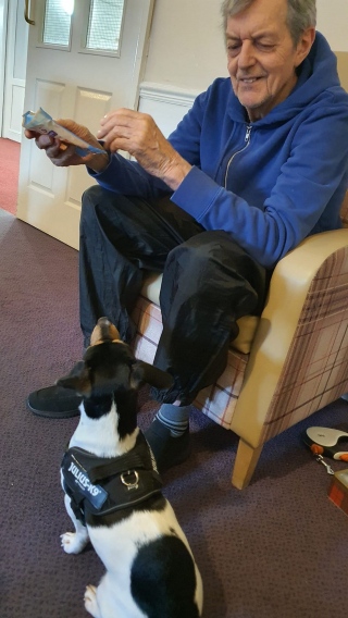 Illustration de l'article : Les visites de Milo le Jack Russell remplit de joie les résidents de cette maison de retraite