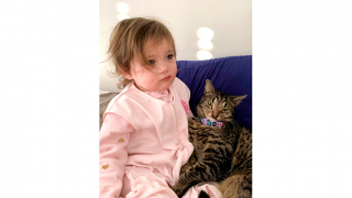 Illustration de l'article : Un chat et une fillette atteints de la même malformation faciale s'unissent pour transformer la vie de centaines d'animaux