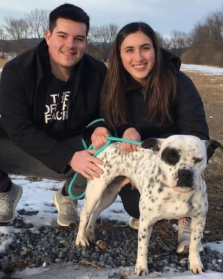 Illustration de l'article : Après une vie de peur et d’insécurité, une chienne hésite à entrer dans sa nouvelle maison (vidéo)