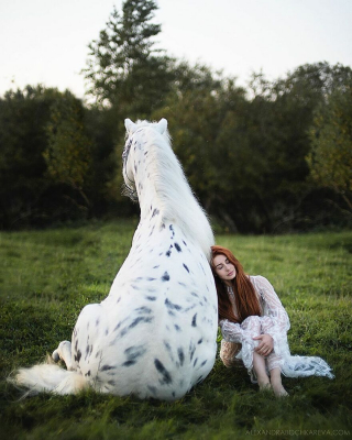 Illustration de l'article : 15 photos d'une artiste qui combine la beauté des humains à celle des animaux