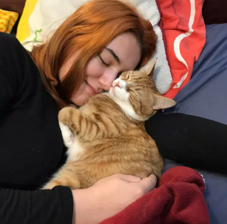 Illustration de l'article : 14 photos de chiens et chats qui vont faire grimper en flèche votre indice de bonne humeur