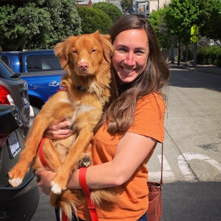 Illustration de l'article : 15 photos poétiques d'un chien tombé sous le charme des papillons