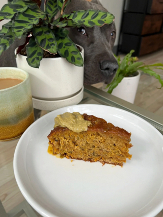 Illustration de l'article : 19 photos de chiens posant joyeusement en compagnie des plantes