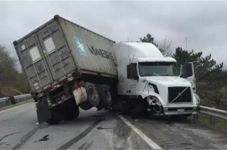 Illustration de l'article : 18 photos de chiens et de leurs improbables sosies