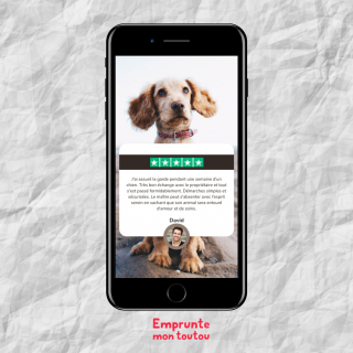 Illustration de l'article : Un Français sur 2 emmène son chien en vacances : quelle solution pour ceux qui ne peuvent le faire ?