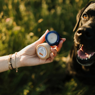 Illustration de l'article : Truffe & Moustache s’invite dans une box spéciale Chien en édition limitée chez Leaves & Clouds, pour la détente et le bien-être de son toutou