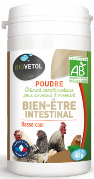 Illustration de l'article : Les NAC plus populaires que jamais, les achats en ligne de produits pour animaux aussi