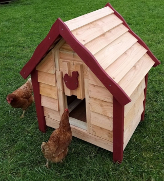 Illustration de l'article : Les NAC plus populaires que jamais, les achats en ligne de produits pour animaux aussi