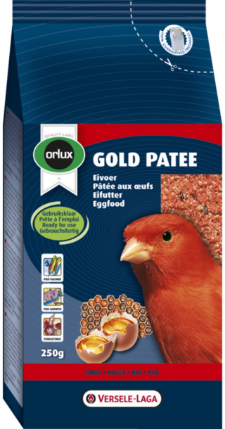 Illustration de l'article : Les NAC plus populaires que jamais, les achats en ligne de produits pour animaux aussi