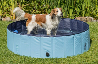 Illustration de l'article : Découvrez notre sélection de produits spéciale été pour chiens et chats