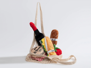 Illustration de l'article : Découvrez notre sélection de produits spéciale été pour chiens et chats