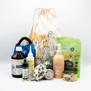 Illustration de l'article : Découvrez notre sélection de produits spéciale été pour chiens et chats