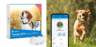 Illustration de l'article : Découvrez notre sélection de produits spéciale été pour chiens et chats