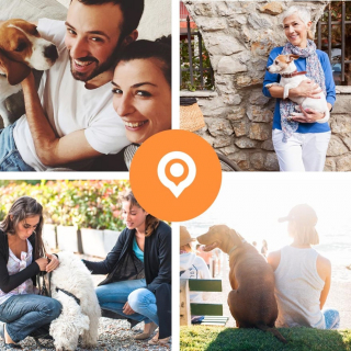 Illustration de l'article : Découvrez notre sélection de produits spéciale été pour chiens et chats