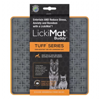 Illustration de l'article : Découvrez notre sélection de produits spéciale été pour chiens et chats