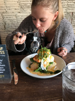 Illustration de l'article : 15 chiens avec un regard de passion amoureuse pour la nourriture