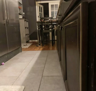 Illustration de l'article : 17 chats qui surveillent votre position ainsi que vos faits et gestes sans vous laisser de répit