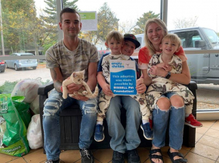 Illustration de l'article : Un pompier sauve un chaton des égouts mais leur histoire commune va prendre une autre tournure quelques semaines plus tard