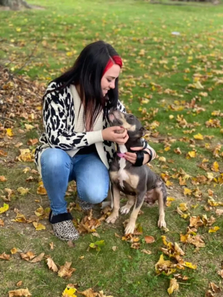 Illustration de l'article : Partie en mission pour nettoyer une maison abandonnée, elle trouve un chien seul dans le grenier