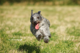 Illustration de l'article : 7 portraits d'animaux magnifiques réalisés par un photographe passionné