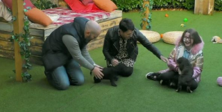 Illustration de l'article : Le coup de foudre entre une enfant malade et un chiot émeut aux larmes les téléspectateurs