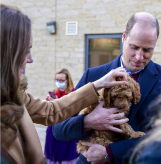 Illustration de l'article : Un chien de thérapie conquiert le cœur du prince William et de sa femme Kate lors d'une visite royale !