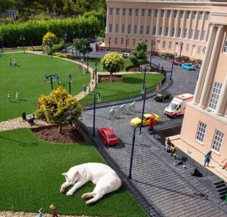 Illustration de l'article : Ces 13 chats et chiens n'ont pas leur pareil pour nous aider à relativiser