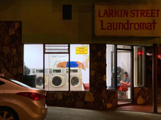 Illustration de l'article : Ce chien qui fait ses siestes sur les lave-linges est devenu l’attraction de la laverie