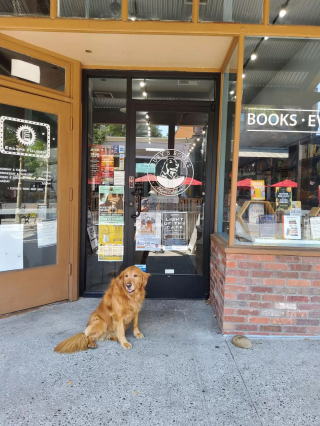 Illustration de l'article : Les propriétaires d’une librairie nomment leur chienne comme gérante de l’établissement et lui donnent même son nom