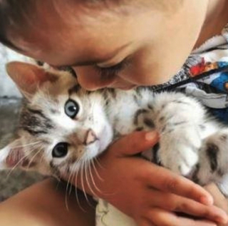 Illustration de l'article : Atteint d'une maladie potentiellement fatale nécessitant un traitement coûteux, ce chat éveille l'empathie et la générosité du public