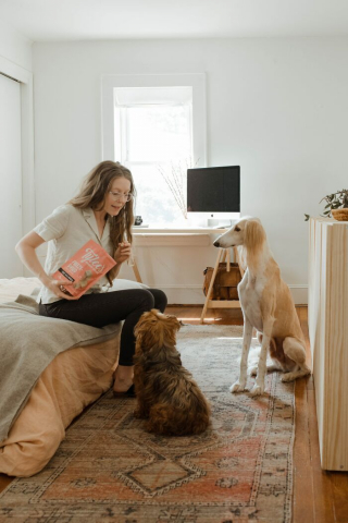 Illustration de l'article : 15 histoires qui nous rappellent à quel point les chiens sont surprenants !