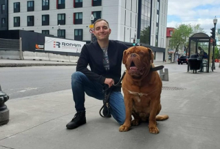 Illustration de l'article : Après avoir sauvé des dizaines de chiens, un Dogue de Bordeaux a besoin d’aide à son tour pour survivre