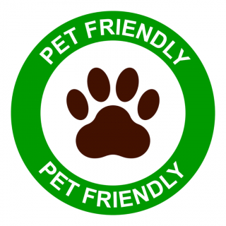 Illustration de l'article : 10 raisons pour lesquelles vous devriez emmener votre chien en vacances