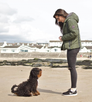 Illustration de l'article : Une jeune femme porte secours à un chiot éjecté d'une voiture. Un an plus tard, il la sauve à son tour