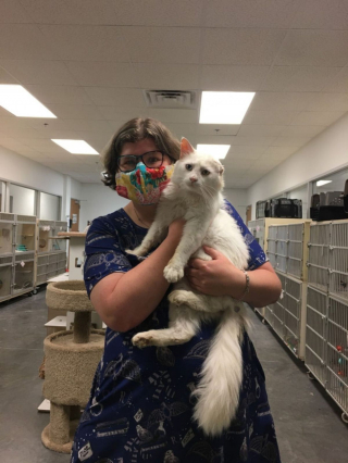 Illustration de l'article : Un refuge rebaptisé en l'honneur d'une jeune passionnée de chats et de Harry Potter victime d'une fusillade