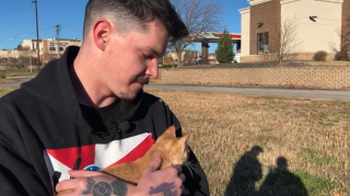 Illustration de l'article : Lors de la visite d'un stade de football, il effectue une réanimation cardiopulmonaire pour sauver la vie d'un chaton !