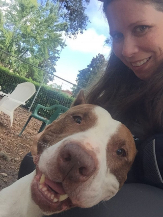 Illustration de l'article : 9 photos de chats et de chiens qui rempliront de joie votre coeur