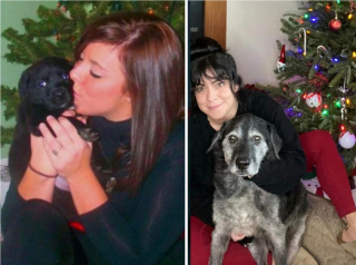 Illustration de l'article : 9 photos de chats et de chiens qui rempliront de joie votre coeur