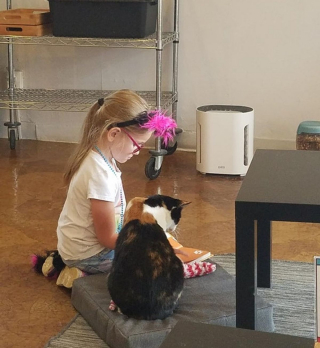 Illustration de l'article : 9 photos de chats et de chiens qui rempliront de joie votre coeur