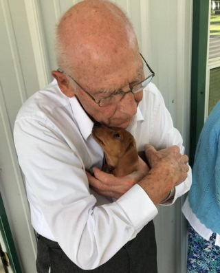 Illustration de l'article : 9 photos de chats et de chiens qui rempliront de joie votre coeur