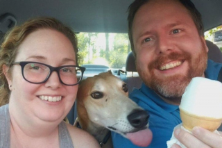 Illustration de l'article : 20 photos amusantes d'animaux qui sont de vrais petits fauteurs de troubles !