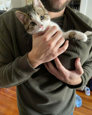 Illustration de l'article : 20 photos de chiens et chats adorables qui devraient soigner votre moral