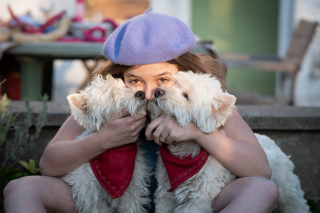 Illustration de l'article : 2 chiens voués à l'euthanasie en raison d'un œil manquant prennent une belle revanche sur la vie 