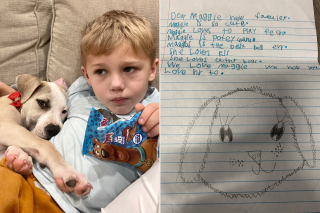 Illustration de l'article : À 6 ans, ce garçon écrit d'adorables lettres pour dire aux futurs adoptants que le chien recueilli par sa famille est "le meilleur chien du monde"